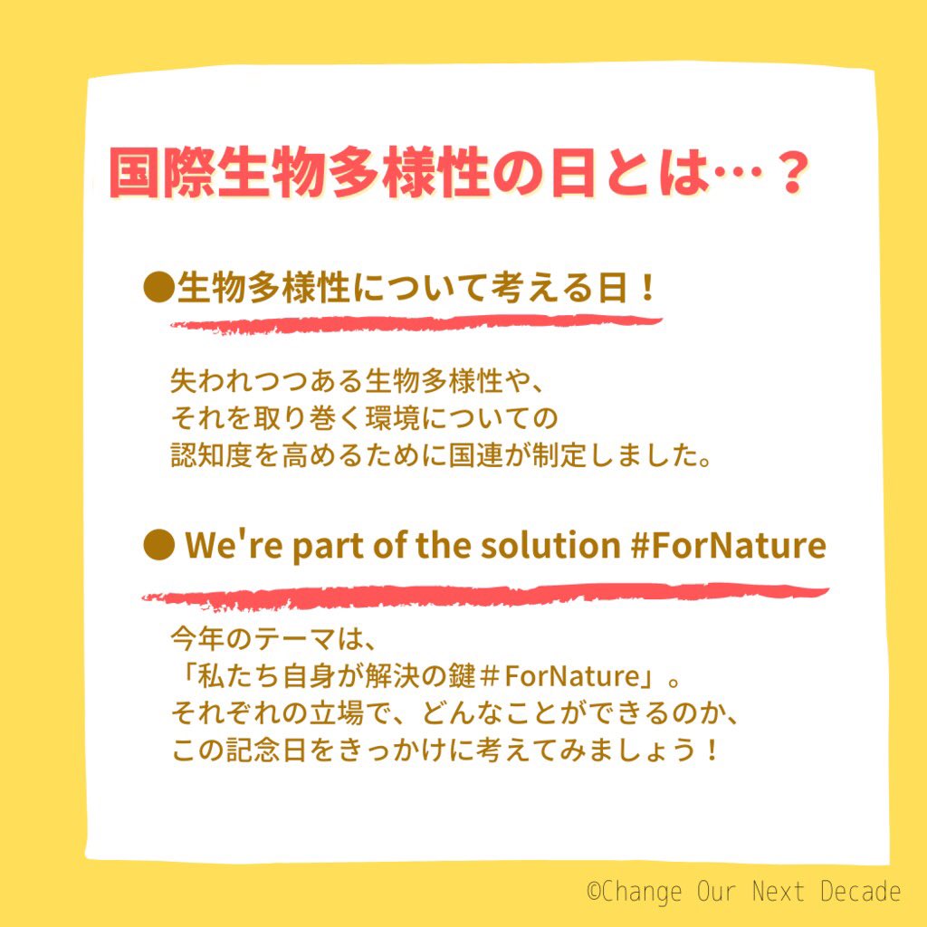 CondOcean's tweet photo. 【今日は生物多様性の日】

毎年5月22日は国連が定めた「生物多様性の日」です🌱

ぜひ、生物多様性について改めて考える機会にしてみてください🐝

#biodiversity #BiodiversityDay #ForNature #youth4biodiversity #ChangeOurNextDecade #ユース #生物多様性 #海 #ocean https://t.co/5RDm9E8tlW