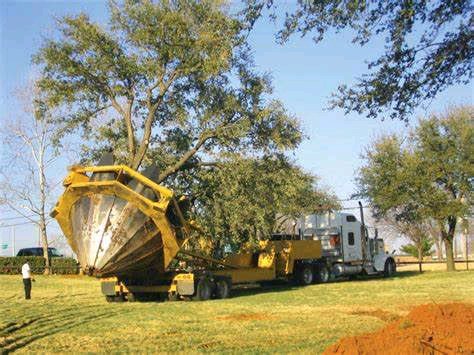 Japanese Tree Relocation Moving Trees In Japan