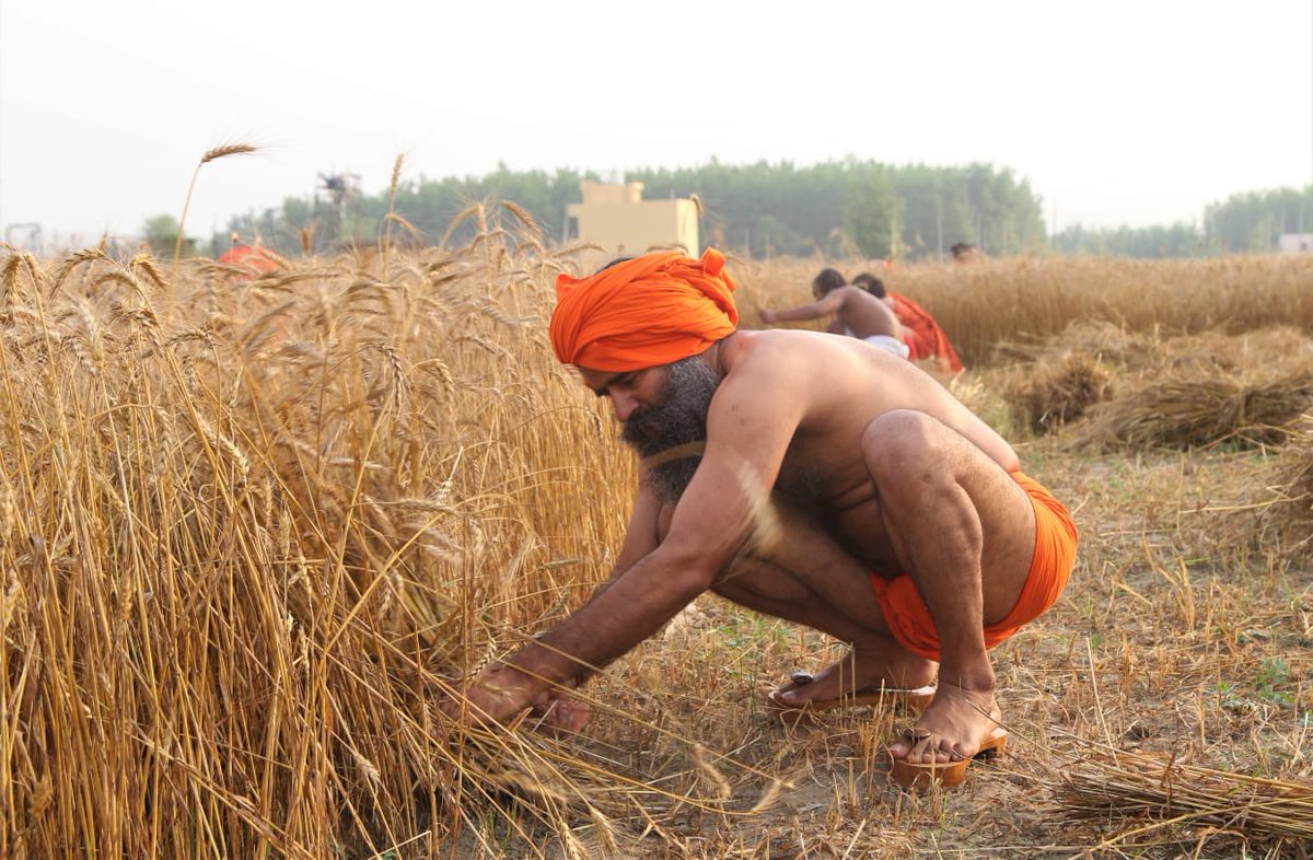 कृषि एक साधना है। कृषि कर्म भी एक धर्म है। मैंने खेती को साधना  की तरह जीने वाले लोग देखे हैं। उनके लिए धरती एक माँ है और खेती एक पूजा। उन किसानों का, उन अन्नदाताओं का, उस अन्नब्रह्म की उपासना करने वाले उन ऋषियों का, कृषि के वह ऋषि हैं उनका मैं अभिनन्दन करता हूँ #I_SUPPORT_RAMDEV