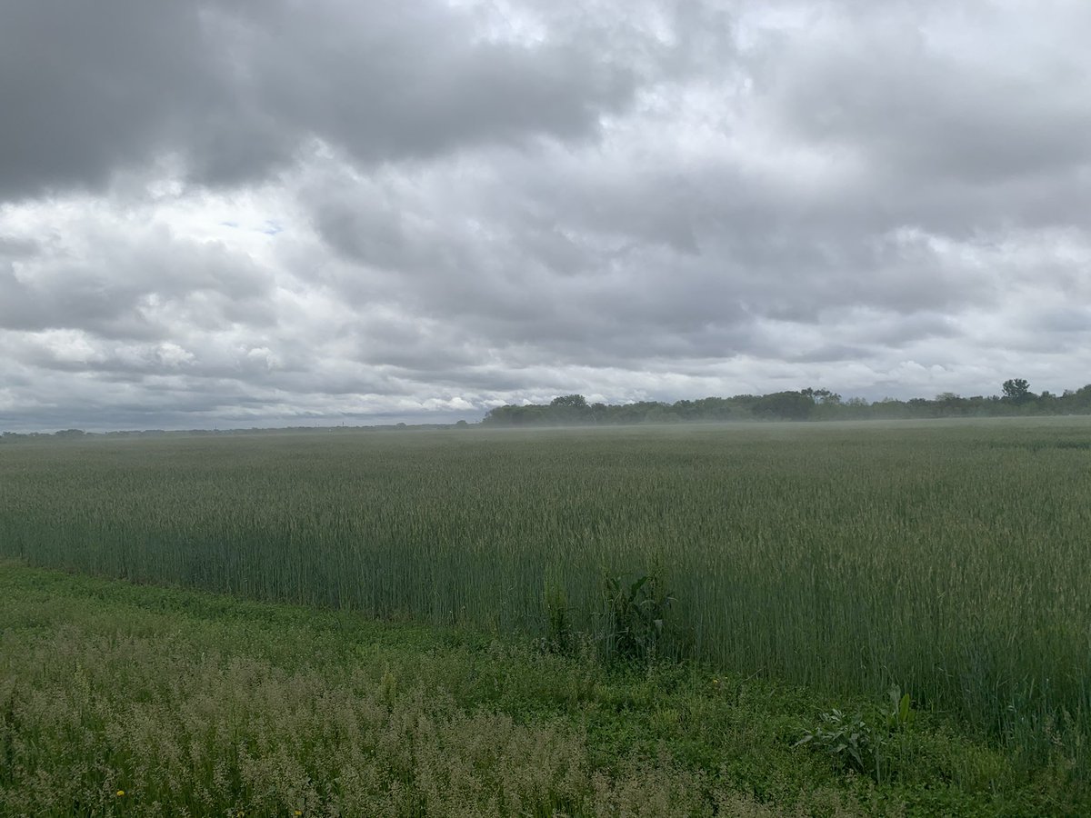 J Raikes tweet media