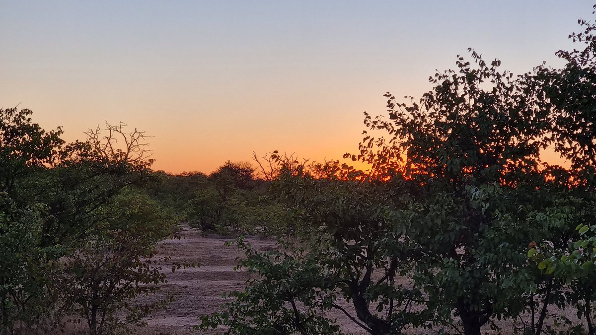 SefapaneLodge's tweet photo. This is how we continue our evening with our night drive at Kruger National Park 😊 there’s no dull moment when you book to stay with Sefapane Lodge and Safaris. Ladies are departing for a Sunset Drive❤️
#sefapanemagic #sefapanelodge #shotleft #sistercation @BESTYTRAVEL1 https://t.co/mZheemSSn8