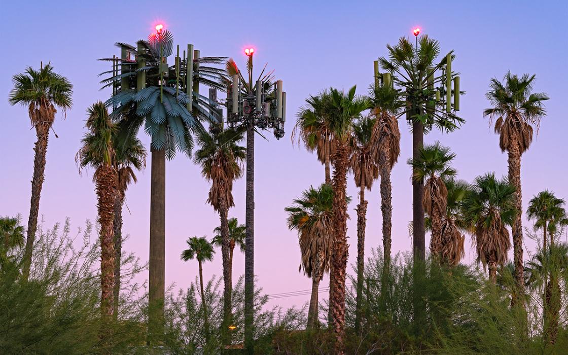 Sierra_Magazine's tweet photo. These disguised cell towers couldn’t fool anyone, could they? A tour through the West’s faux forests with photographer Annette Lemay Burke. https://t.co/fB9rx2YSYy https://t.co/JmGVl1ME0i
