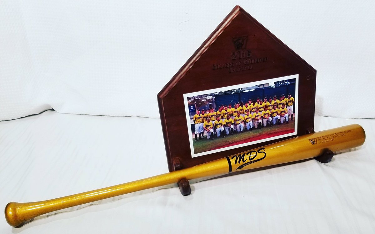 MDS Baseball Bats tweet media