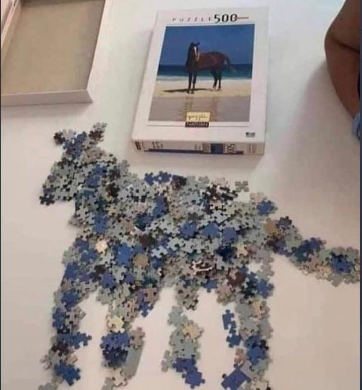 Adem'in en son bitirdiği puzzle