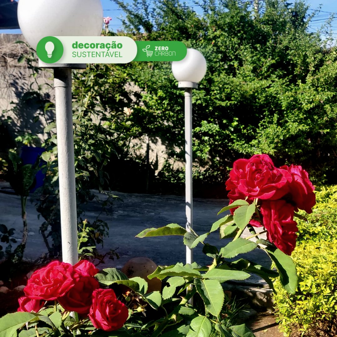 zerocarbon_br's tweet photo. @ugolicas registrou essa foto no jardim da sua casa, e olha como as roseiras deixam o ar mais leve e mais acolhedor com elas☺

#decoracaosustentavel #somoszerocarbon #reciclar #decoracaointeriores #decoraçãocriativa #reciclarte #casaverde #sustentabilidadebrasil https://t.co/0lHLEdQk6j