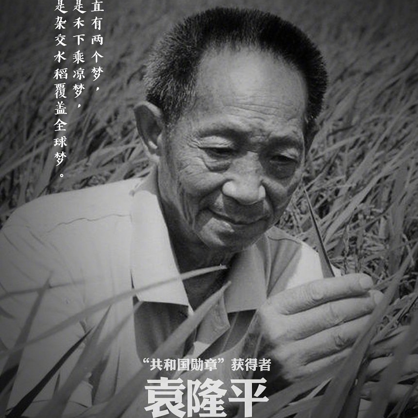 Leesinb2's tweet photo. 不知道为什么，本来没想哭的啊😭
怎么晚上再一看微博，看到那么多的悼念，眼泪就不听话了呢😭
爷爷，我没想哭的，我很听话的！
“阎王：袁公，咱们该走了。 袁隆平：不急，让孩子们安心吃完这段中饭吧。 ​​”
“袁老去和教员汇报情况了，我们再也不会有人吃不饱饭了。”😭😭😭💔💔💔🙏🙏🙏 https://t.co/YcH4Xj8UQz