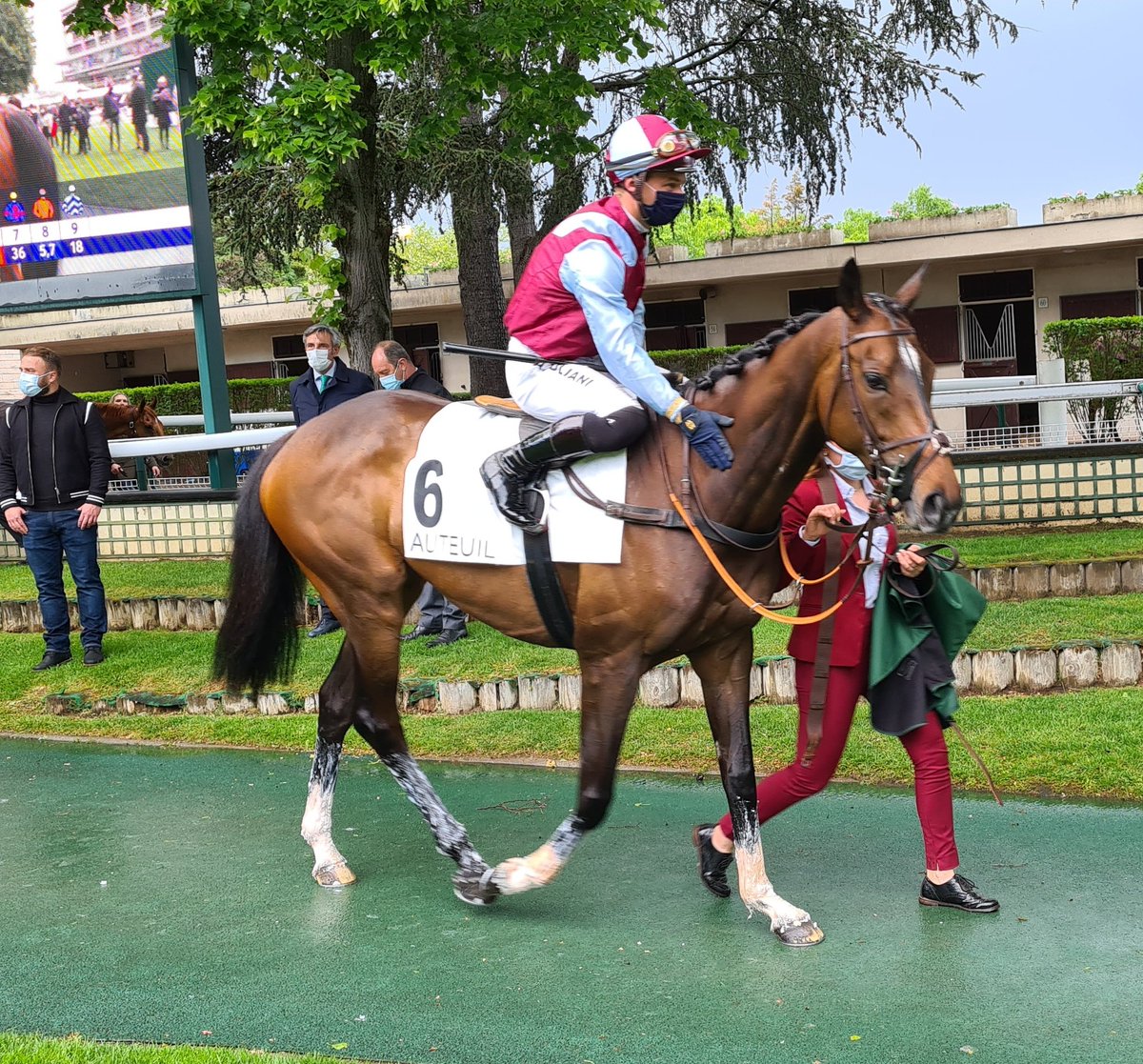 seenthestars's tweet photo. @RacingPost Grande Course de Haies d'Auteuil #LAutonomie #PaulsSaga #RonaldPump #GalopMarin https://t.co/DamacSmgrk