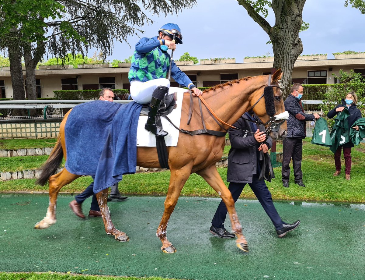 seenthestars's tweet photo. @RacingPost Grande Course de Haies d'Auteuil #LAutonomie #PaulsSaga #RonaldPump #GalopMarin https://t.co/DamacSmgrk
