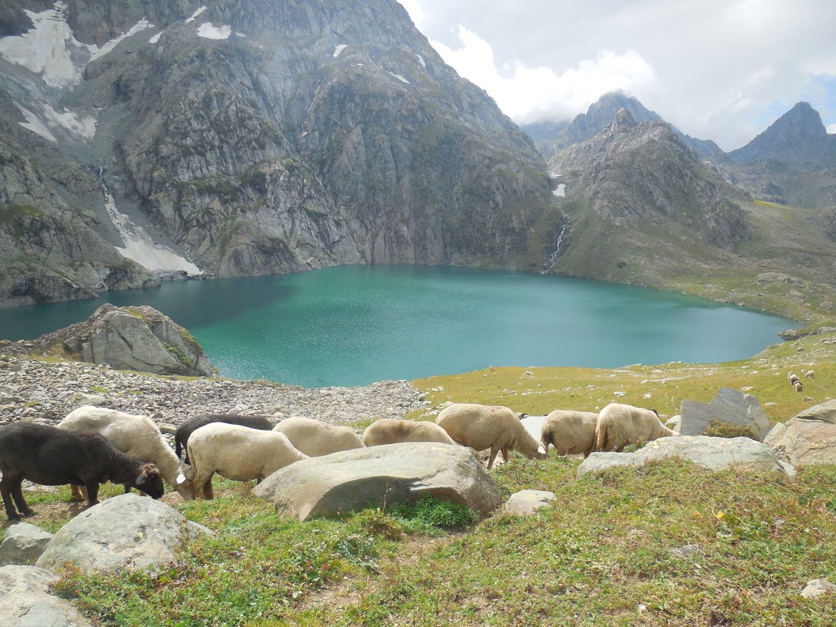 Kashmir trekking #hiking #trekking #Himalayas #travel #tours #alpineclub #sightseeing @ alpinelakestrek.com/trek-kashmir/