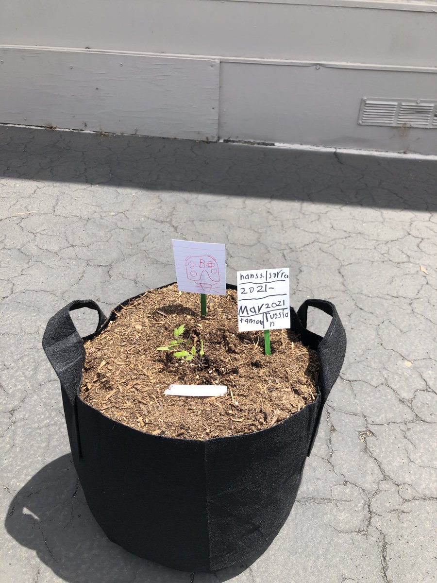 Thank you Olivewood Gardens for the grab and grow bags #nsdnow