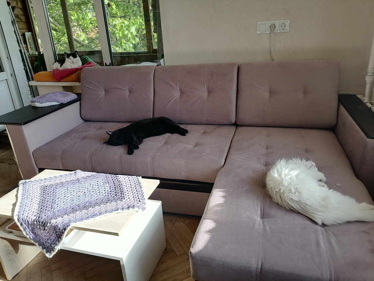 Hellleae's tweet image. Баньте меня, я сегодня  дивпноспамлю! 😆😆😆 #котейки  #мойдом #моясемья