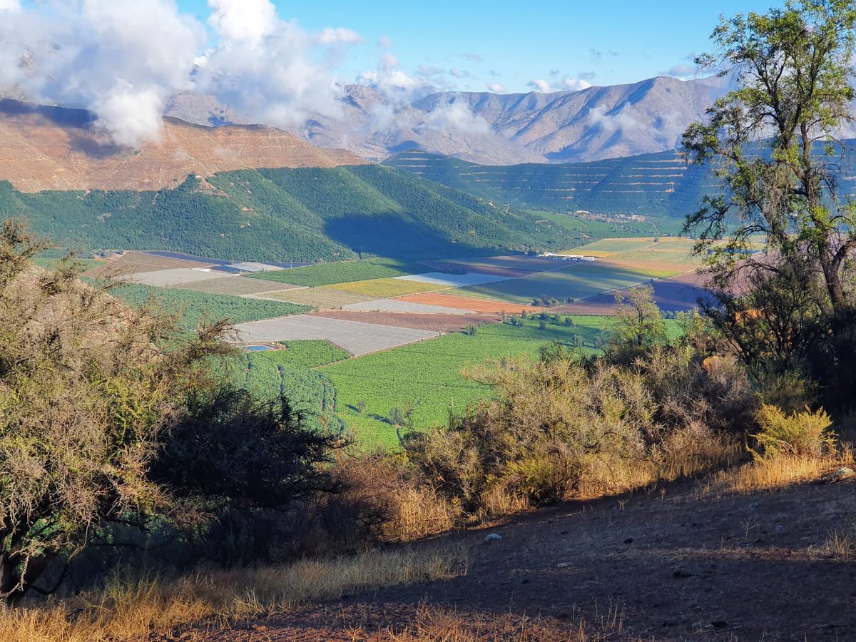 ValparaisoReg's tweet image. #Buensábado compartimos imágenes del #ValleDeAconcagua @HotelSanEsteban @CoreEdithQuiroz @sernatur_valpo @cproaconcagua #Turismo