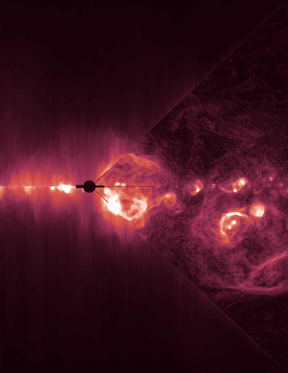 Stella Koch Ocker tweet media