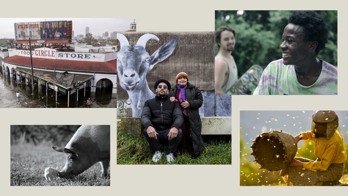 The 40 Best Documentaries of the 21st Century bit.ly/3bLrntr