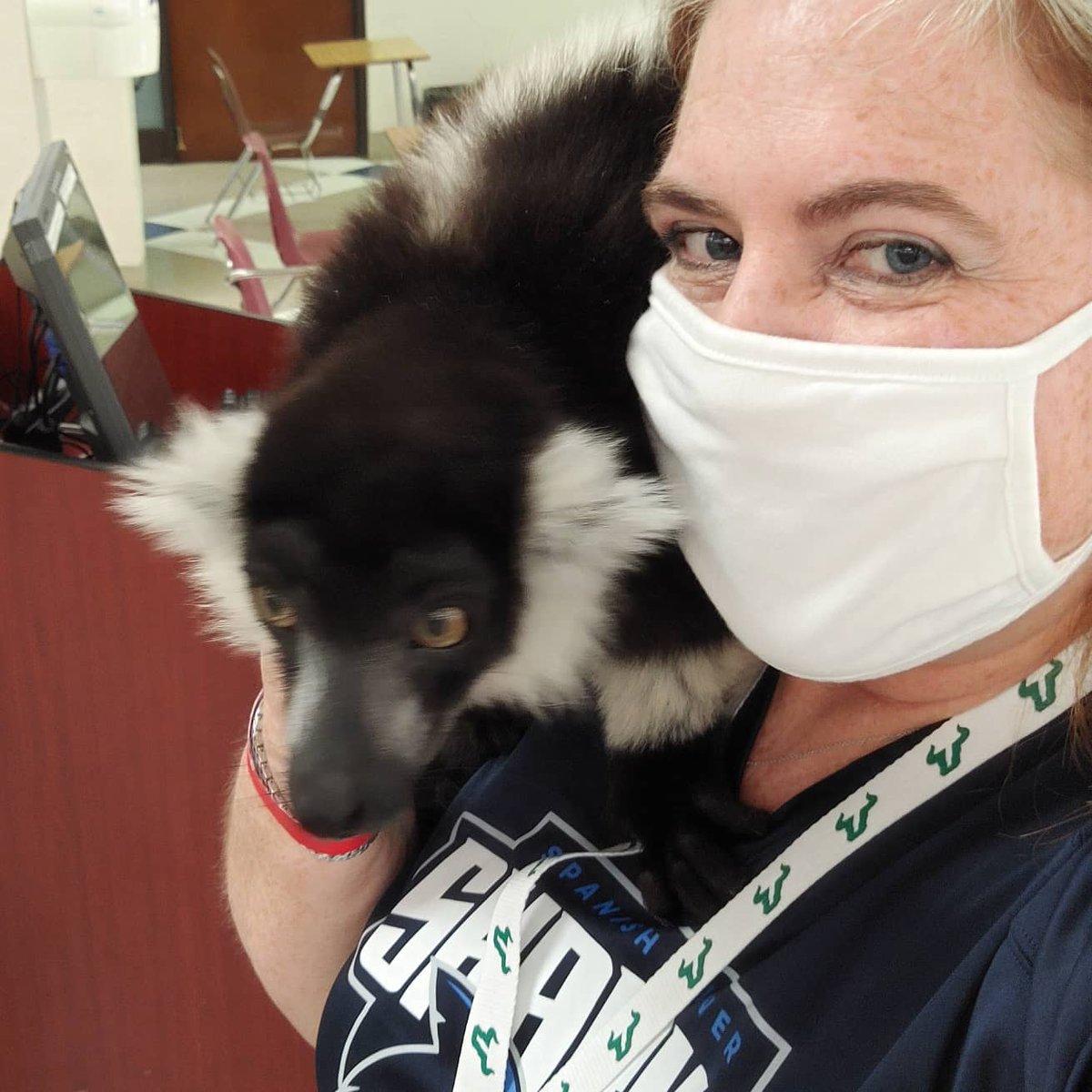 RicharRenee's tweet photo. Senior Day at Spanish River @RiverPTSA is a blast! I got to meet Jenko the lemur up close and personal. Such a great event for the graduating seniors. #chaperone #fun #seniorgoodbye https://t.co/o7X26fExNQ