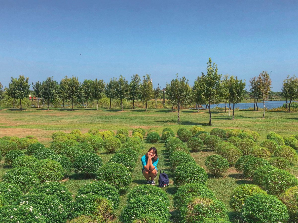 ___haaaaan's tweet photo. #20201009 
🥦🥦🥦

#taiwan #chiayi #故宮南院 https://t.co/BJESkqGhhh