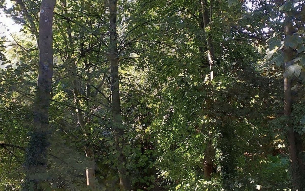 Un enième projet de bétonisation d'espaces verts, cette fois-ci à Sanvic : sauvons le Val Soleil, qui est menacé par les promoteurs privés alors qu'il abrite 6800m2 de verdure et un clos masure historique !! #biodiversite