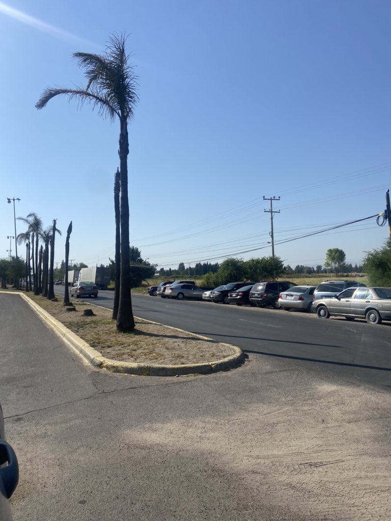 Bien por <a href="/AmbienteDgo/">Medio Ambiente Mpal.</a> por sembrar, pero mal de servicios públicos de no cuidar áreas verdes. Nunca me había tocado ver áreas verdes en Durango tan descuidadas <a href="/JorgeSalum/">Jorge Salum</a>