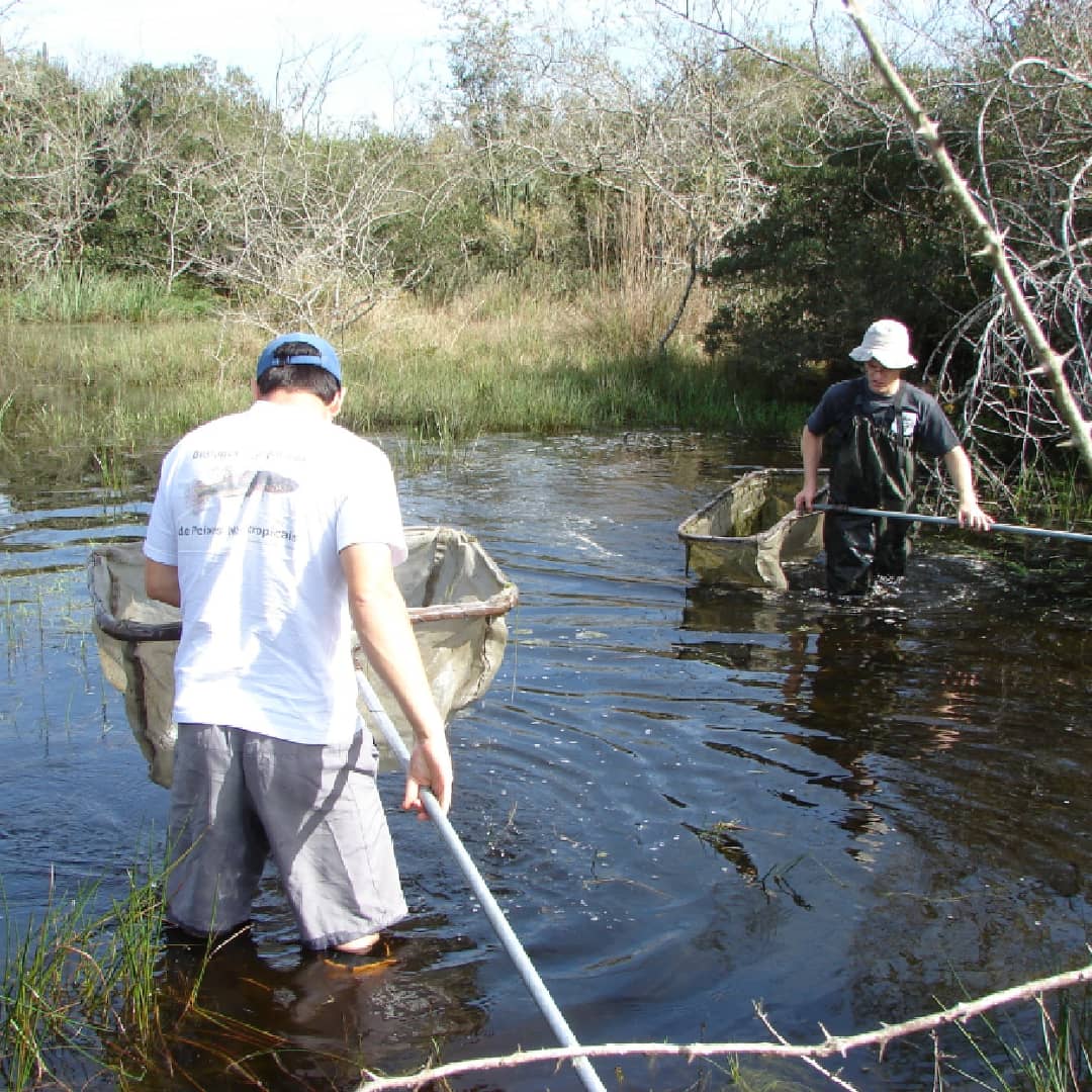 Knowing, disseminating and valuing #biodiversity. We're part of the solution!

📷 Vinicius Bertaco, MCN / FZBRS

<a href="/ferrer_juliano/">Juliano Ferrer</a>
<a href="/LRMalabarba/">Luiz R. Malabarba</a>
<a href="/FRCarvalho7/">Fernando Carvalho</a>
<a href="/ictiolab_ufrgs/">ictiolab.UFRGS</a>

#InternationalBiodiversityDay
