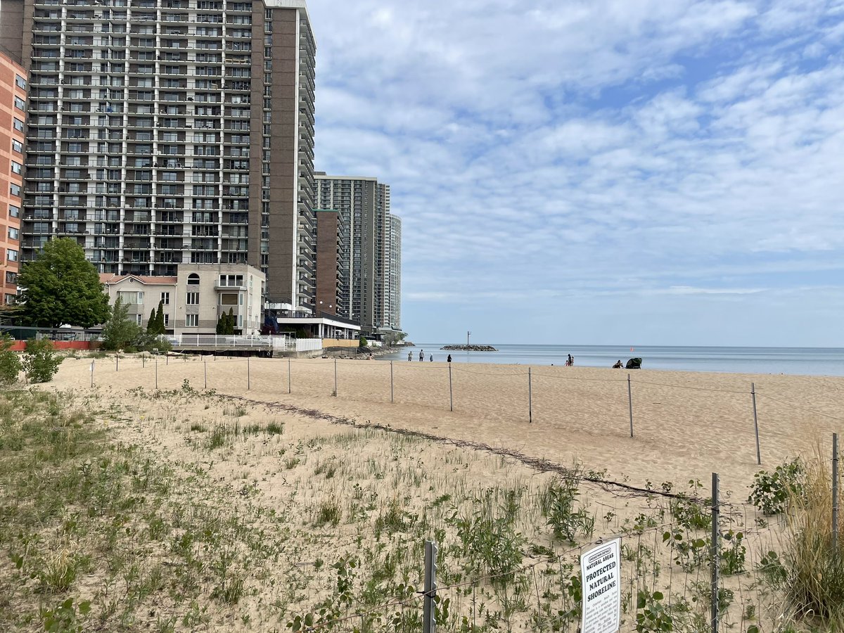 AnthonyCalabr12's tweet photo. Who needs Florida when you have the beaches of Chicago. #springtimeinchicago https://t.co/USJbJQxrOh