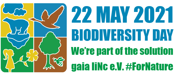 GaiaLinc's tweet photo. 2021 is the year for action on biodiversity! 
We believe that nature conservation and sustainable development are built upon environmental education🦎🐜🦅🐛🐝
We want to be part of the solution with our project "From forests to the classroom" 
#ForNature #EnvironmentalEducation https://t.co/xr10D2wYNM