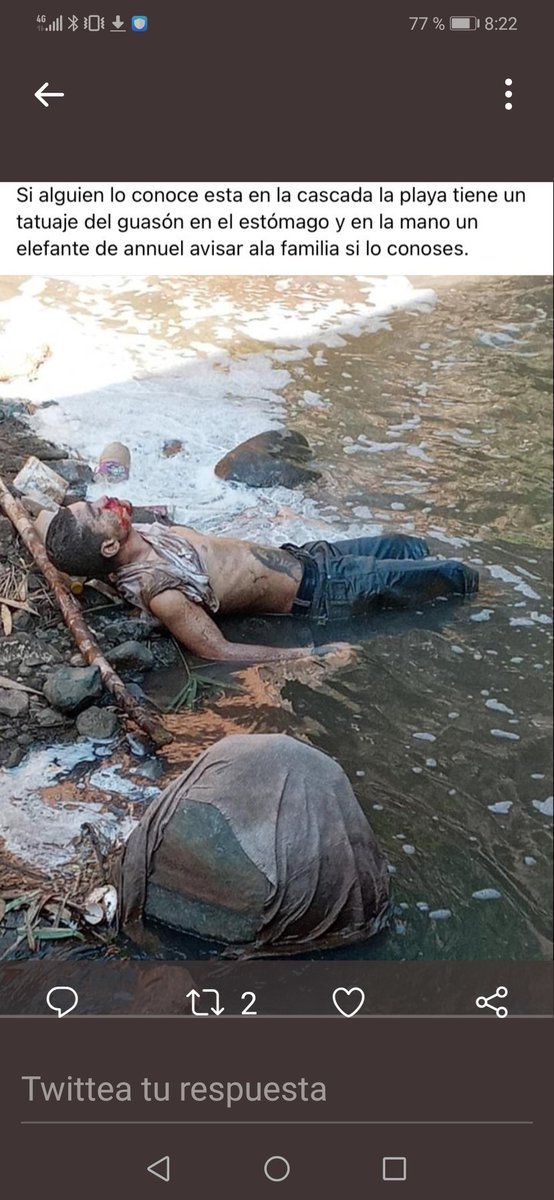 CasandroMartell's tweet photo. Esto es muy grave, hay más de 521 desaparecidos, la mayoría en el Valle del Cauca, de pronto comienzan a flotar cadáveres en el río Cauca y aparecen cabezas en bolsas de plástico. Nada sacamos con acudir a la fiscalía, es una institución vendida al régimen nada confiable. https://t.co/vPGJmWH0DX