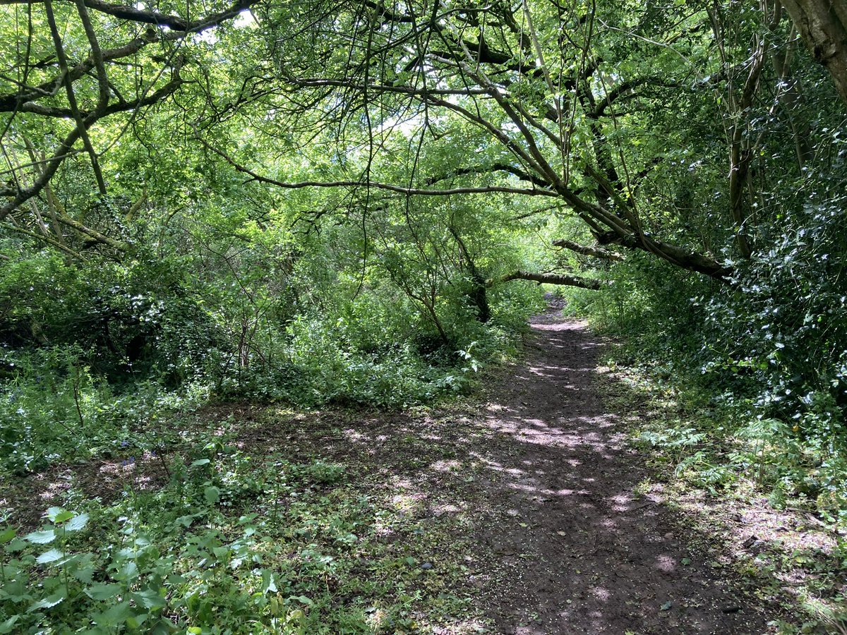 sjreynolds1883's tweet photo. Today was @AspireRunning #bristol3peaks and what an amazing event it is!! These 4 pics do not do it justice. Well done to all concerned for an absolutely fantastic day! #RunforAlex💚 https://t.co/ttHQUwLThA