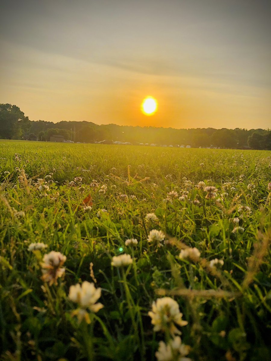 mshalugupta's tweet photo. Evening walks can sometimes lead you to a beautiful sunset and a lesson that everything is going to be alright. Day is coming to an end but life is not. There will be another day with lot many possibilities... #sunset #evening #possibilities #FightForMyWay #hope https://t.co/1KNdCRVzJc