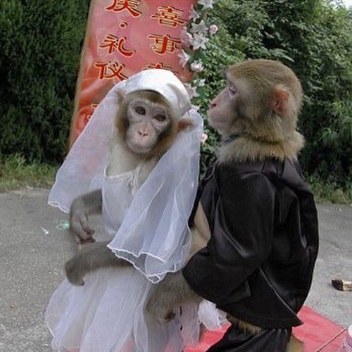 meaaele's tweet photo. manifesting this relationship 🤞🏻🙄 https://t.co/d0bAgzO7TE