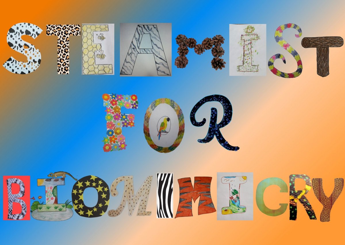 STEAMIST2's tweet photo. Joint Product
@aysegul_ilikci @NesrinOzbabaUlu @Burcu_UYAR34 @deryadogru23 @ https://t.co/HdhywWrFpj