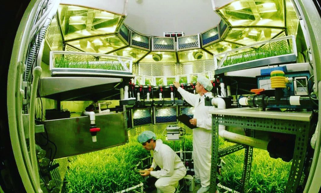 Astrobotany.com tweet media