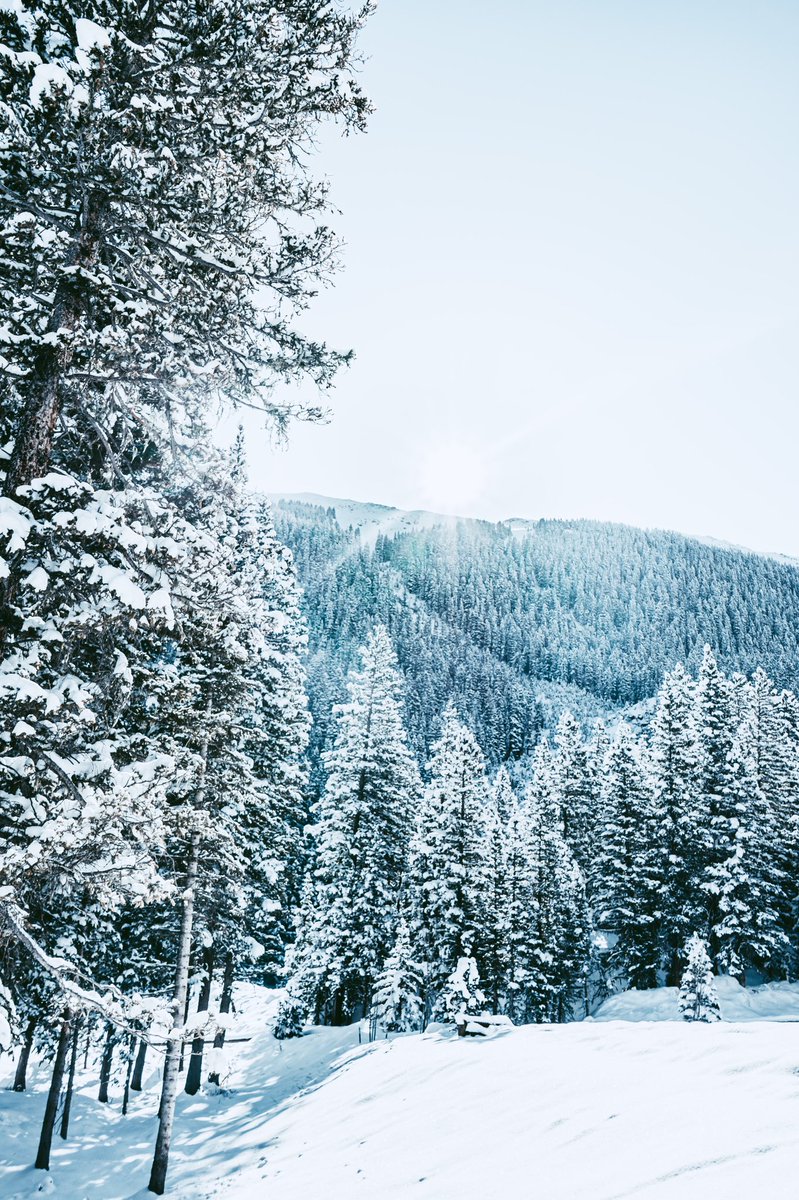 BladeBlanchard's tweet photo. Weekend in the #RockyMountains #photograghy #outdoors #Colorado https://t.co/ggvZcCme4E