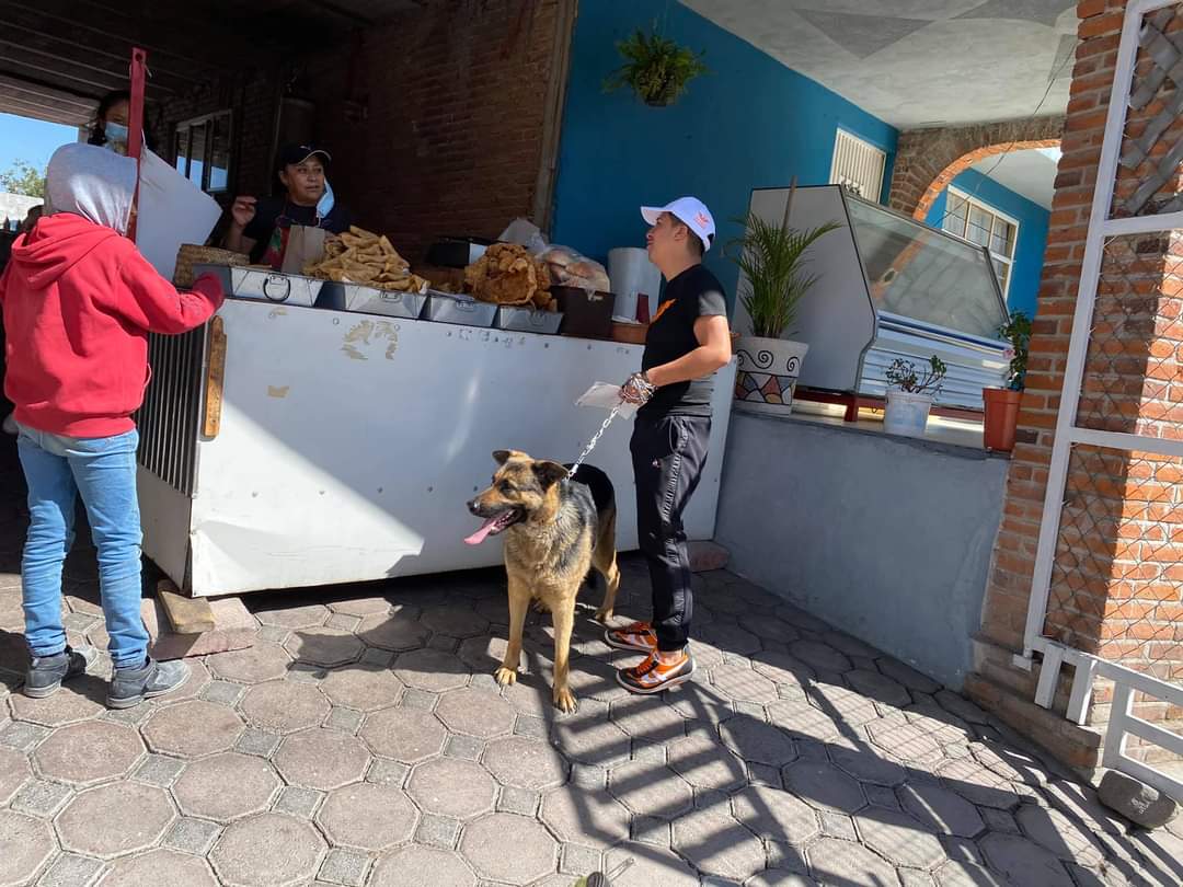 LUIS_CORTES_12's tweet photo. #LuisCortés 🍊 | Comenzamos nuestro recorrido por el #Distrito12 con la mejor compañía 🐶.

#ElTriunfoEsNuestro https://t.co/BWOITIGXAZ