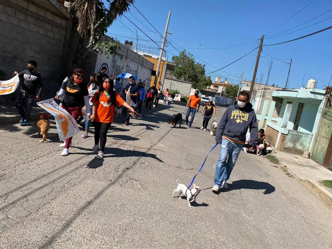 LUIS_CORTES_12's tweet photo. #LuisCortés 🍊 | Comenzamos nuestro recorrido por el #Distrito12 con la mejor compañía 🐶.

#ElTriunfoEsNuestro https://t.co/BWOITIGXAZ
