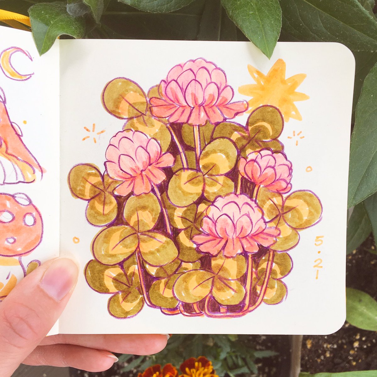 some messy, comforting clovers i drew while i was bedridden and bummed out u_u ☘️🌟