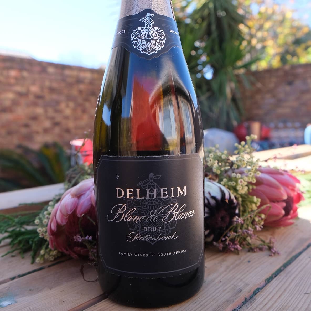Boozy_Foodie's tweet photo. Celebrating #biodiversityday with these proudly South African #conservationchampions π±
@VondelingWines
@Lourensford
@SpierWineFarm
@Delheim
@WaverleyHills
Always #followthesugarbird!
#WWFSA #conservation #fromnature #biodiversity #DrinkSouthAfrican #southafricanwines https://t.co/Er7XneSSg1