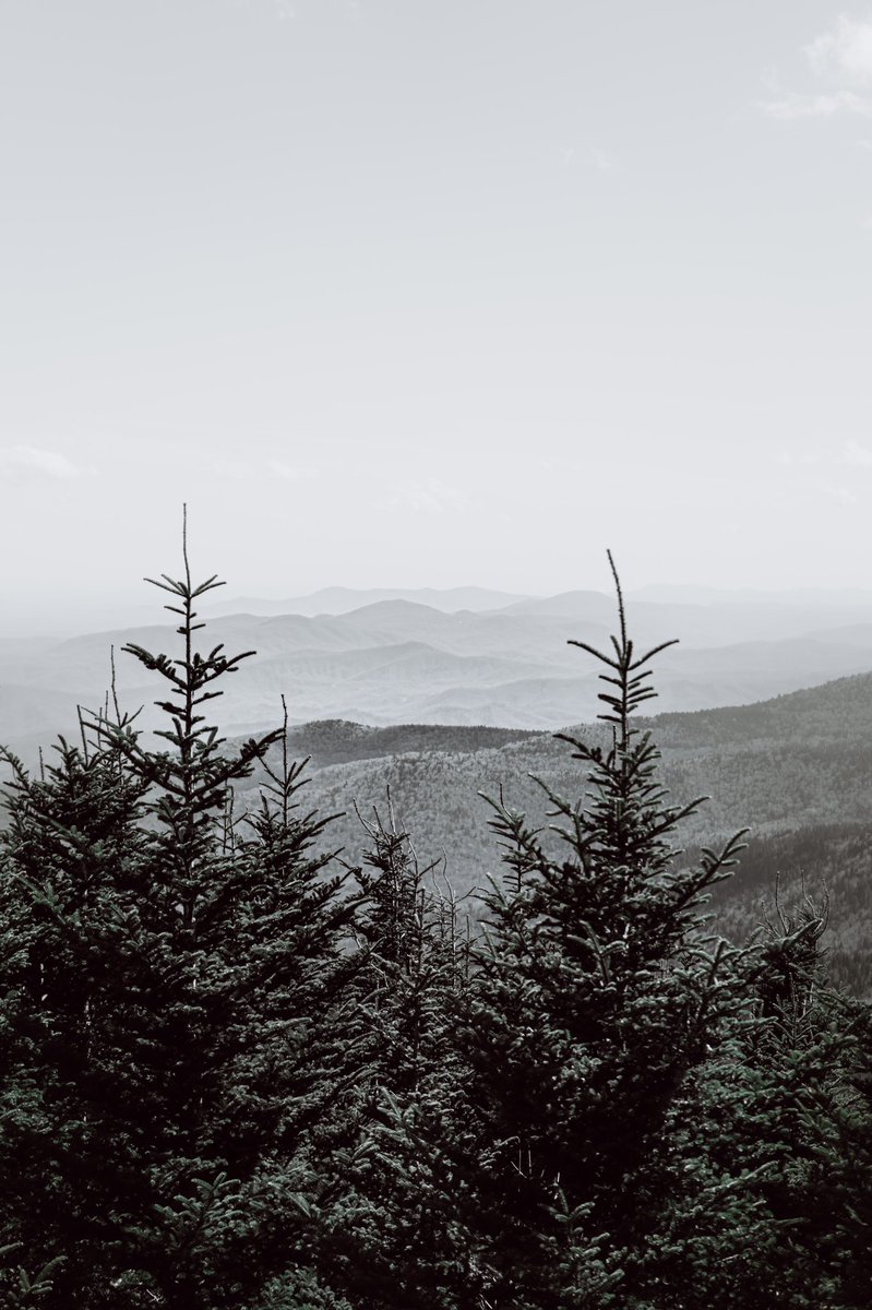 BladeBlanchard's tweet photo. If the sky was made of mountains.. #BlueRidgeParkway https://t.co/ldgUF4gZBd