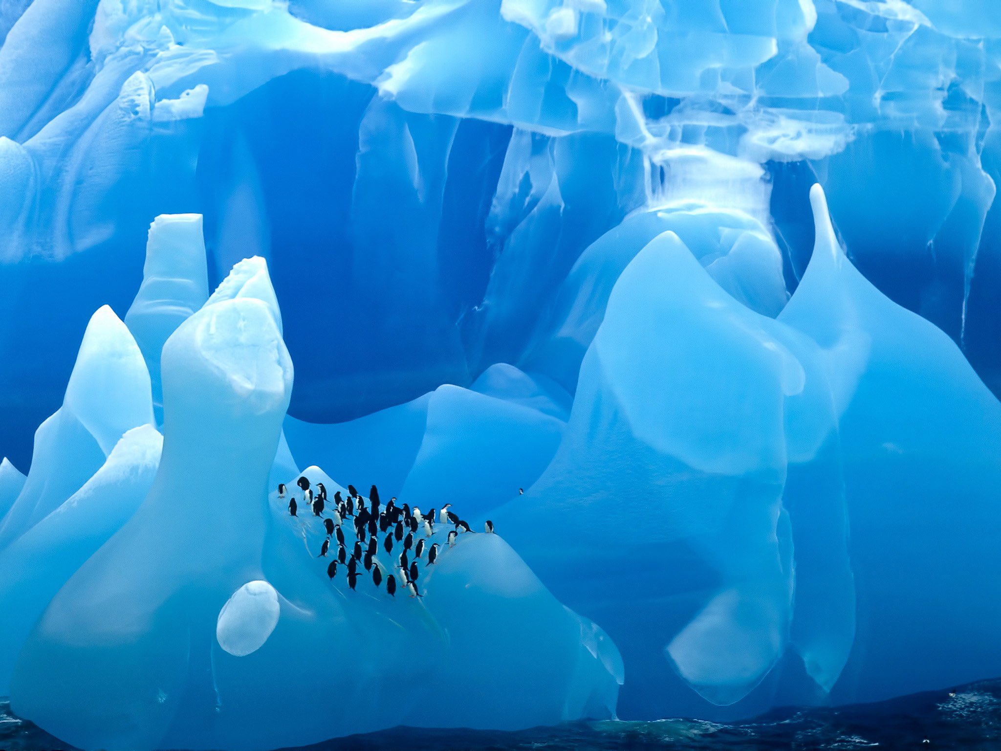 Bouteflikov Quelques Photographies D Un Iceberg En Antarctique La Partie Visible Etait Celle Immergee D Ou Cette Couleur T Co Nqehhsjhla Twitter
