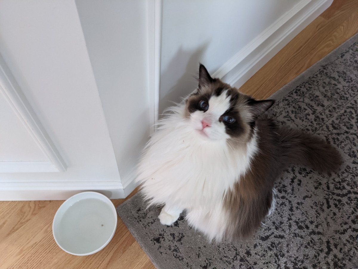 Chris Pacia tweet media