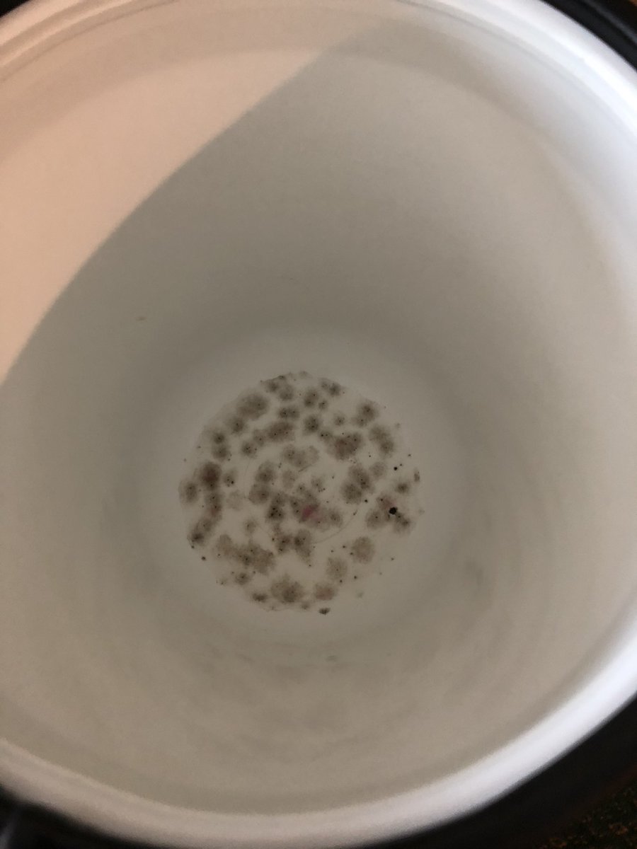 Colonel_Rat's tweet image. Good to see that @Marriott cleans their ice buckets. Don’t ask for a clean one either because that’s an inconvenience.