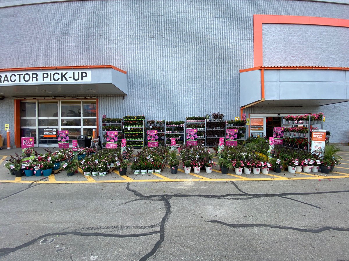 StinchcombAssoc's tweet photo. Pittsburgh @HomeDepot is THE spot to be for all of your Rio needs
@RioDipladenia @Millaya @TylerHage @KOKOLGM https://t.co/DU40nBzD4m