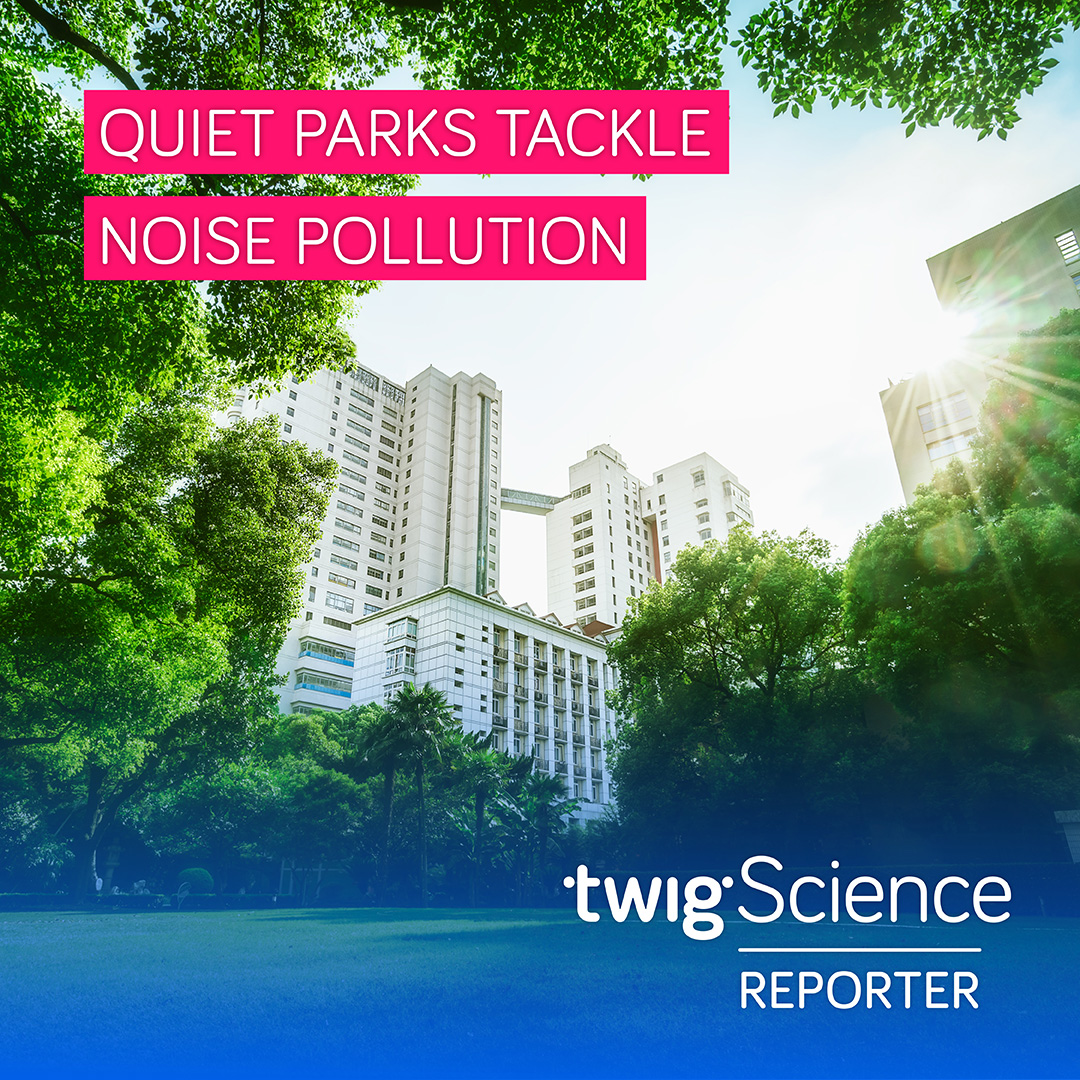 TwigScience's tweet photo. 🔭🏞❄️This week's #TwigScienceReporter brings topical STEM updates on a new space telescope, quiet parks, and Himalayan snowmelt. Watch now: https://t.co/kMGPvKCd0K #SciNews #STEMlearning https://t.co/B0obkWcoUN