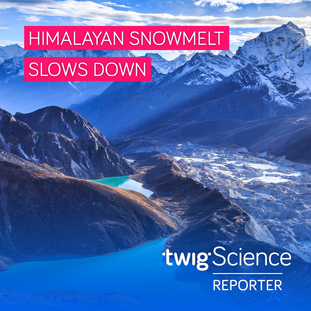 TwigScience's tweet photo. 🔭🏞❄️This week's #TwigScienceReporter brings topical STEM updates on a new space telescope, quiet parks, and Himalayan snowmelt. Watch now: https://t.co/kMGPvKCd0K #SciNews #STEMlearning https://t.co/B0obkWcoUN