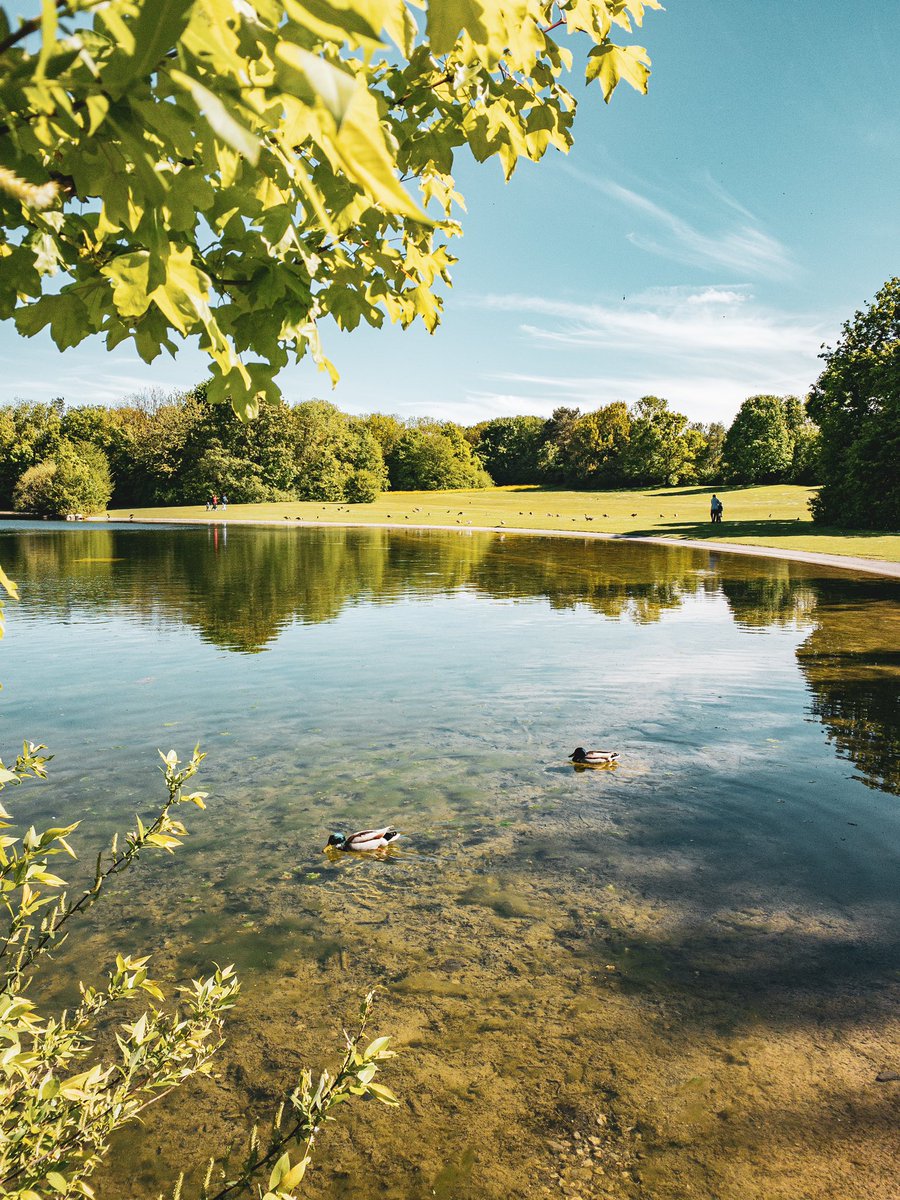 dshonas's tweet photo. Die Inzidenz sinkt, die Sonne lacht. Perfekte Bedingungen für einen entspannten Nachmittag im #Ostpark in #München. https://t.co/8igL3zkZer