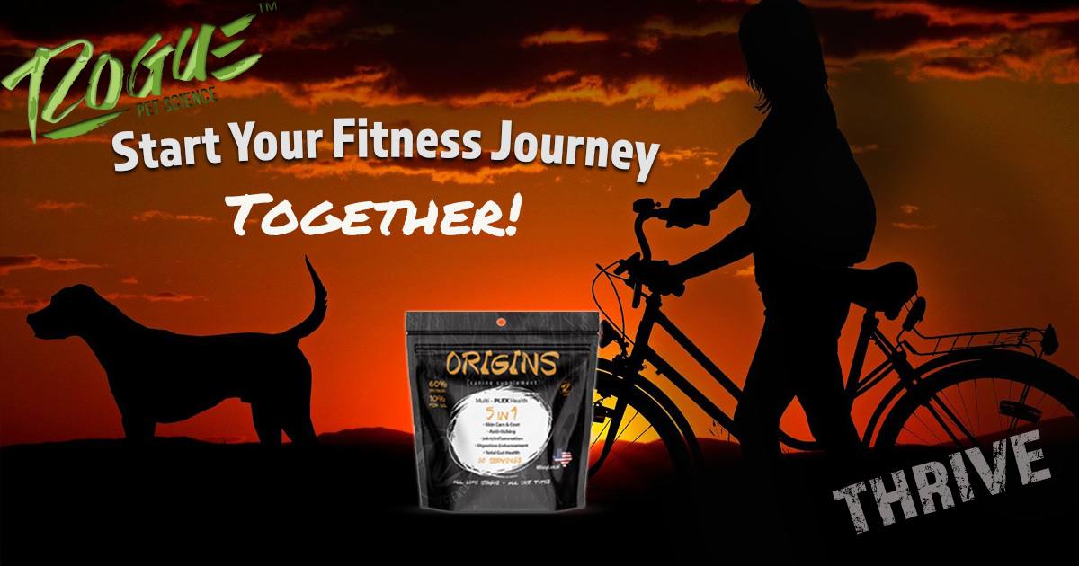 RoguePetScience's tweet image. You and your dog could be working on your fitness journey together!  We call it ACTIVE NUTRITION. Learn more here: ow.ly/bfVP50ESFsx

#poweredbyrogue #canineguthealth #activenutritionfordogs #naturalpetsupplements #origins5in1