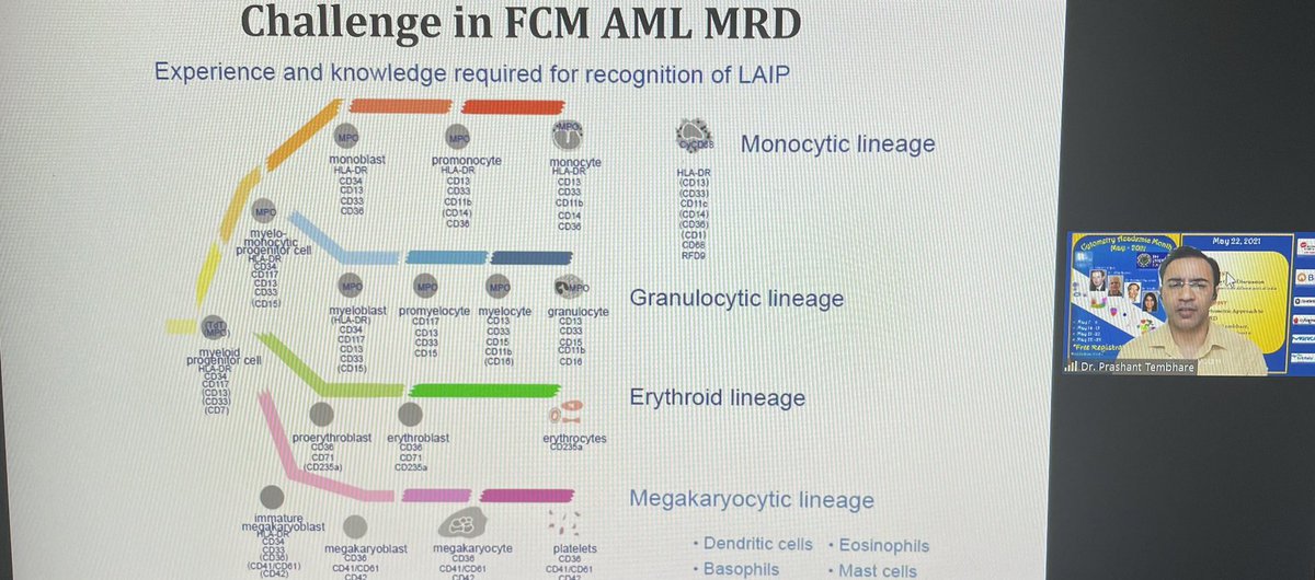 drkunalsehgal's tweet photo. Excellent talk by @PrashantTembha1 on AML MRD today with great inputs from our chairpersons @MathewsVikram and @DrAnilHandoo followed by a very interactive Q&A session.More than 200 attendees for AML MRD session speaks volumes of the interest shown by all #flowedu #CytometryIndia https://t.co/pJ1yc5lEWn