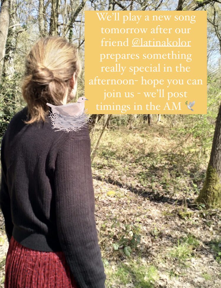 Hope you can join us for a new song tomorrow afternoon from instagram.com/alessisark 💛 #sunday #rest #newmusic #alessisark #livemusic #music #friendship #gathering #hope