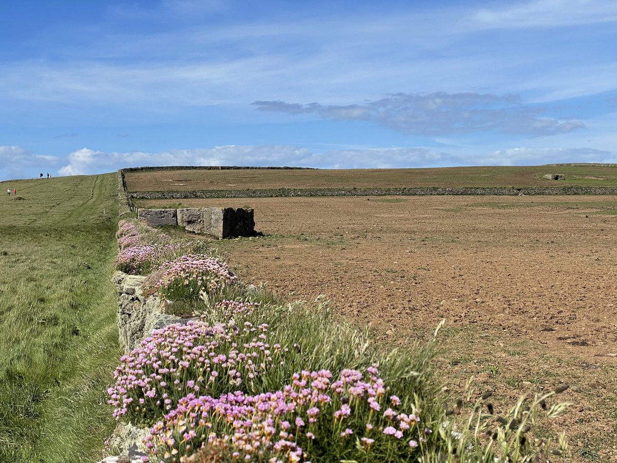 Richard Lace tweet media