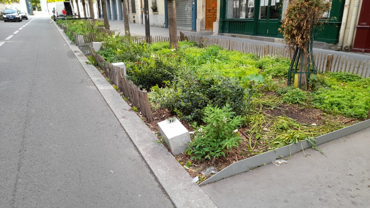 CretinParis's tweet photo. 7/8 Ou alors on en trouve coté chaussée mais comme elles sont uniquement posées dans la terre végétale sans aucune fondation, elles sont déjà renversées. https://t.co/awgIa9xPtS