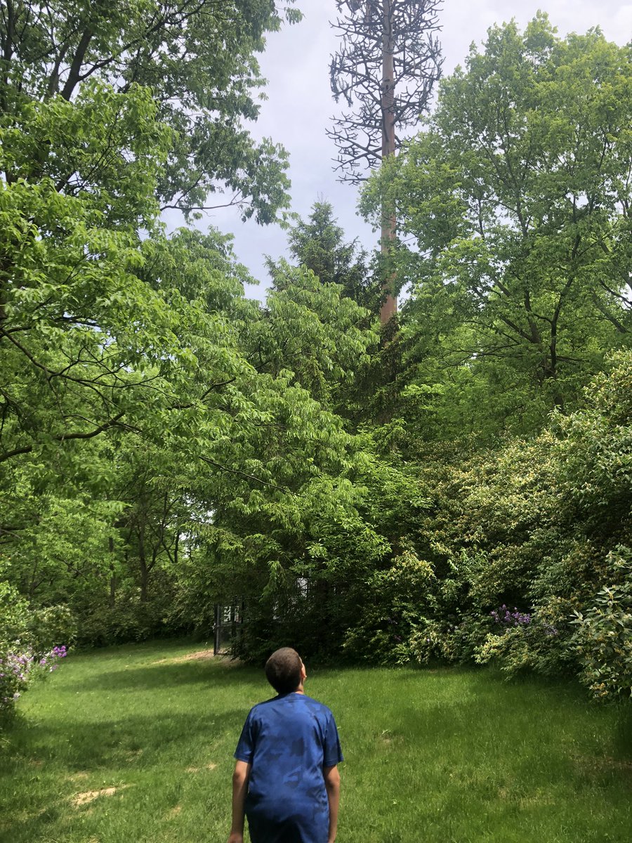 d0tslash's tweet image. Fake tree? :)